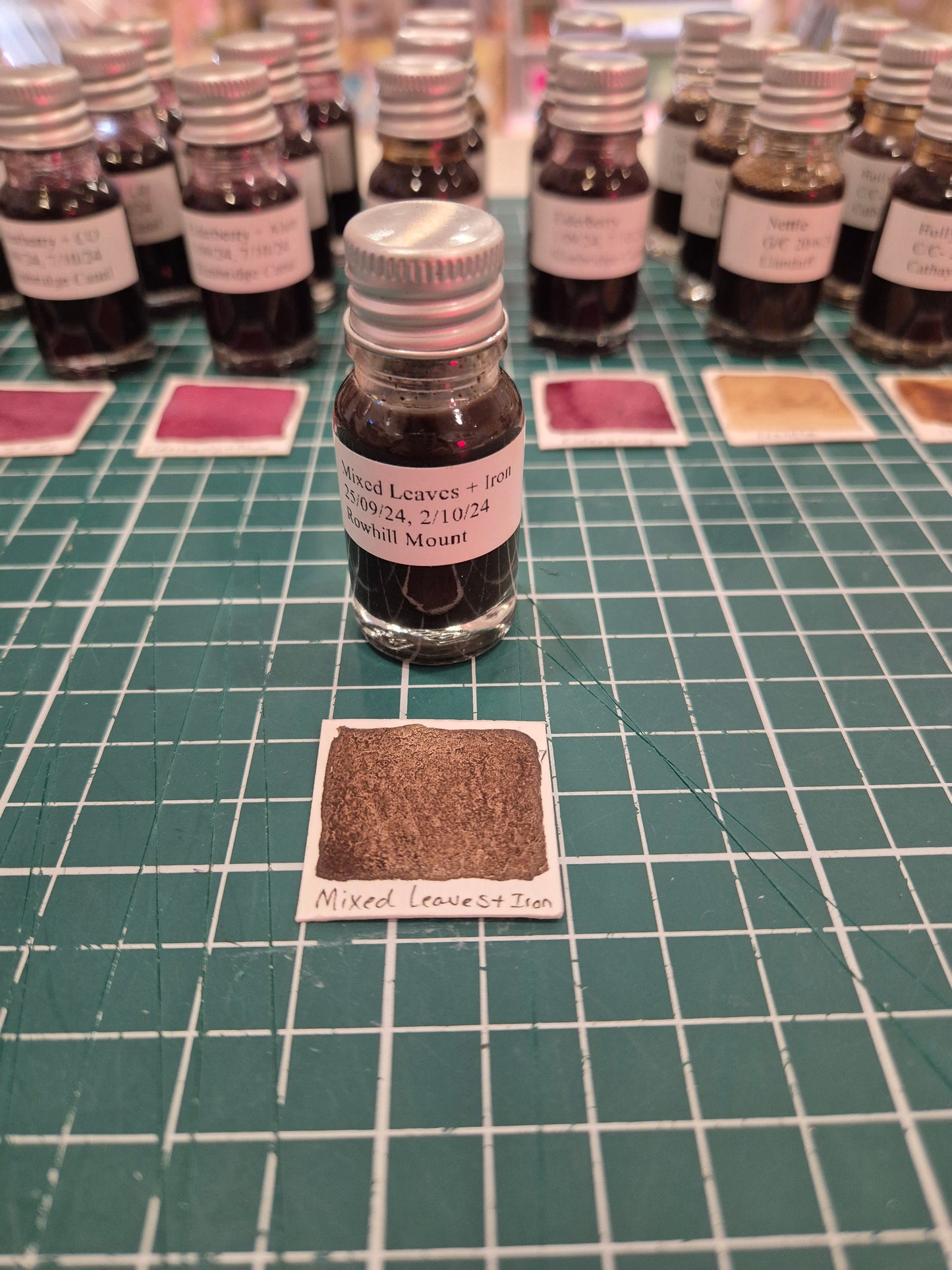 Foraged Natural Inks by Will Valentine!