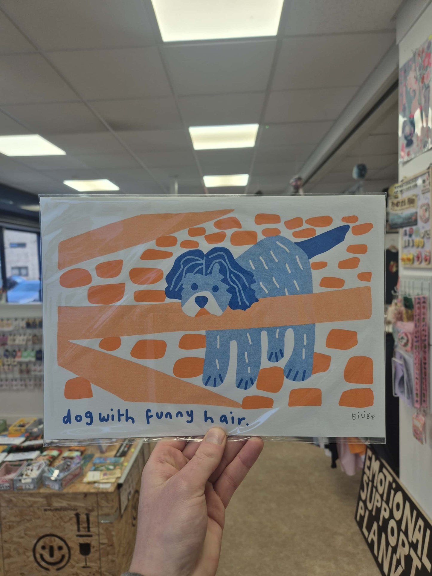 Riso Prints by Billy Colours