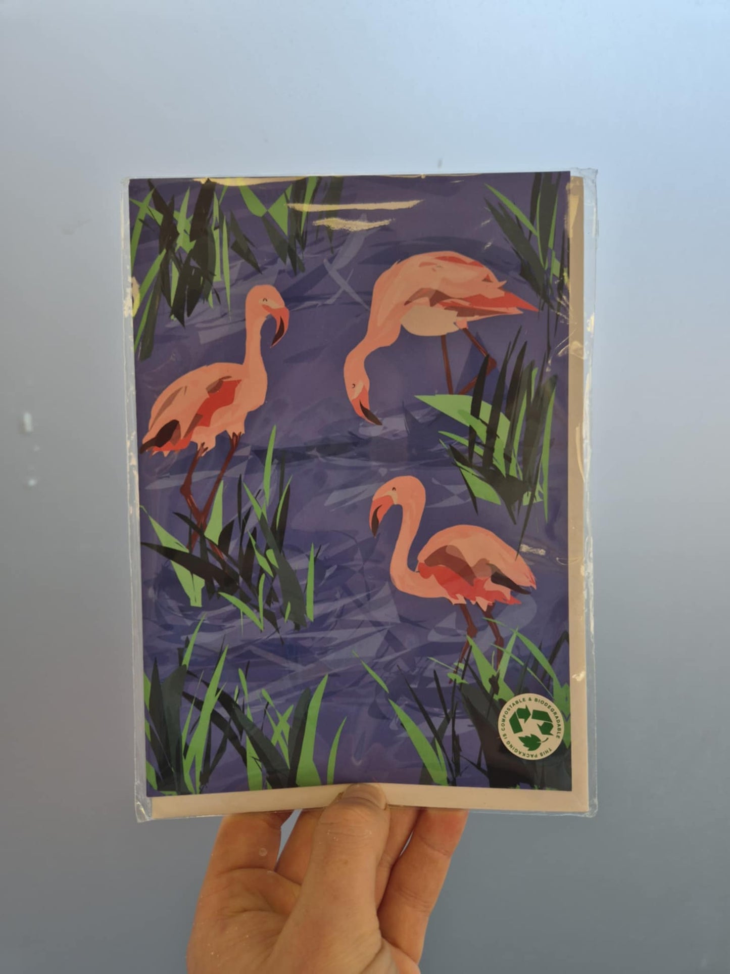 Naomi Ann - Greetings Cards