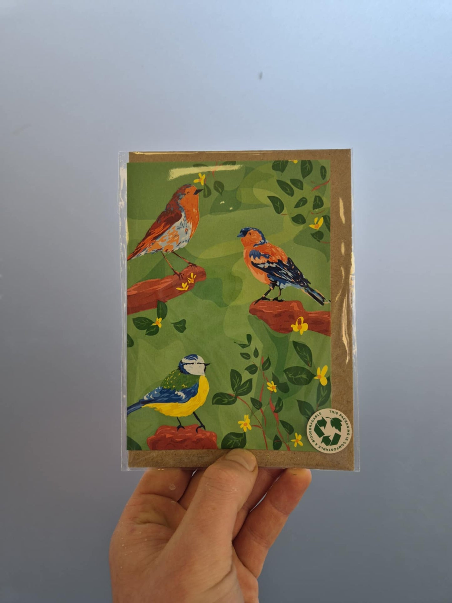 Naomi Ann - Greetings Cards