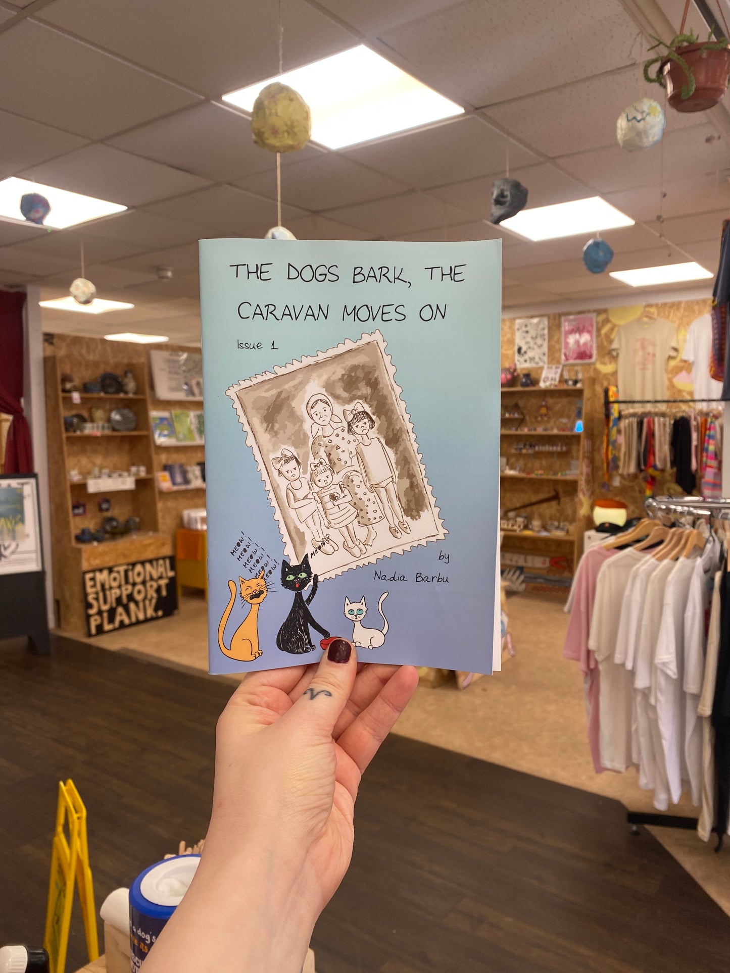 Nadia Barbu - The dogs bark, the caravan moves on zine