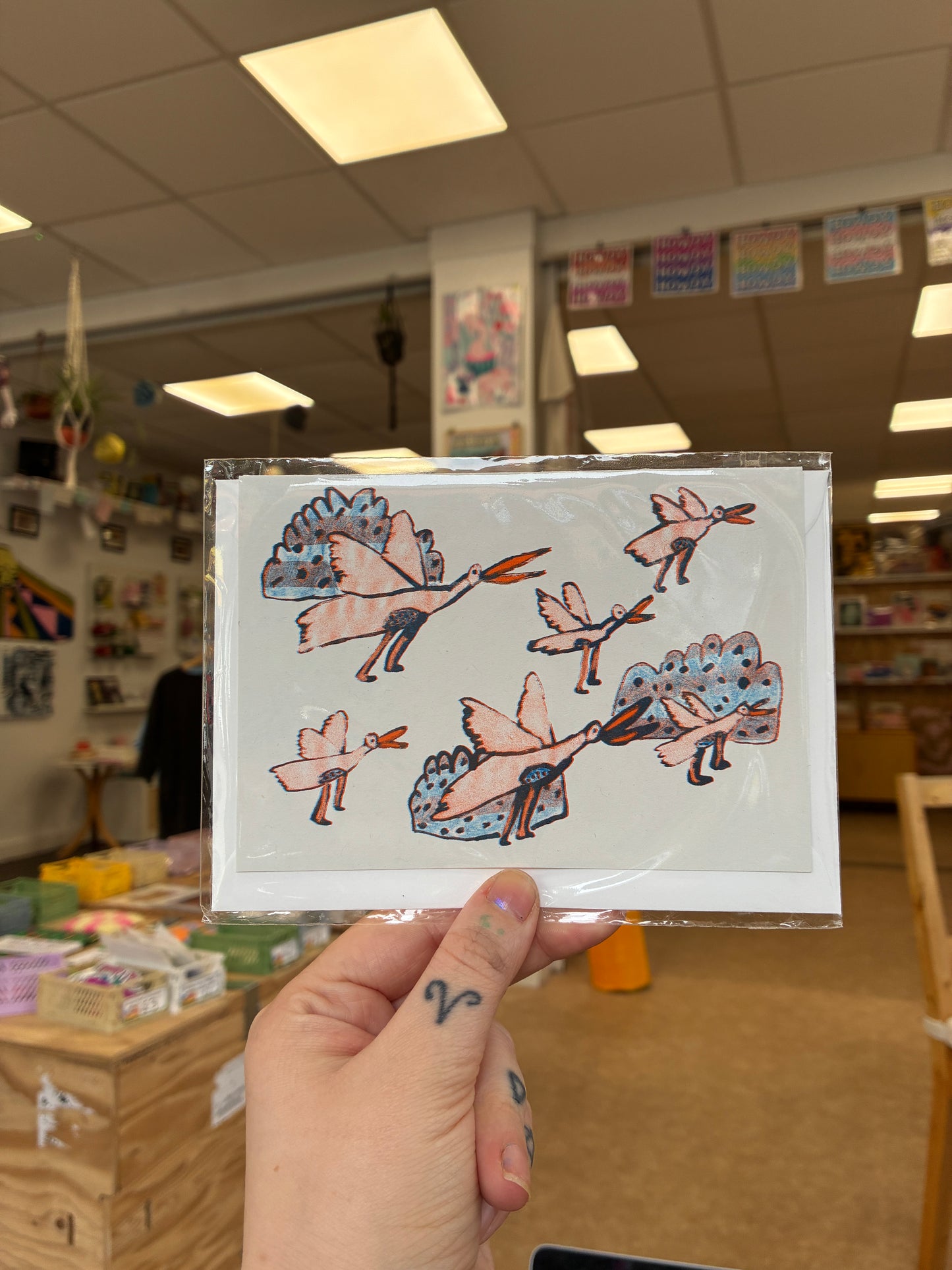 Eleanor Sykes - Greetings cards