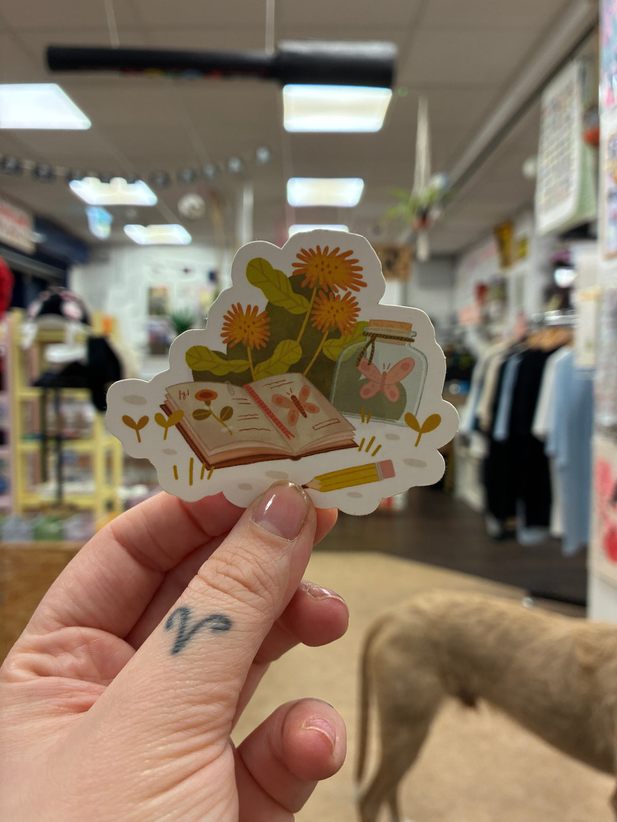 Ocean Hughes - Stickers (NEW!!!)