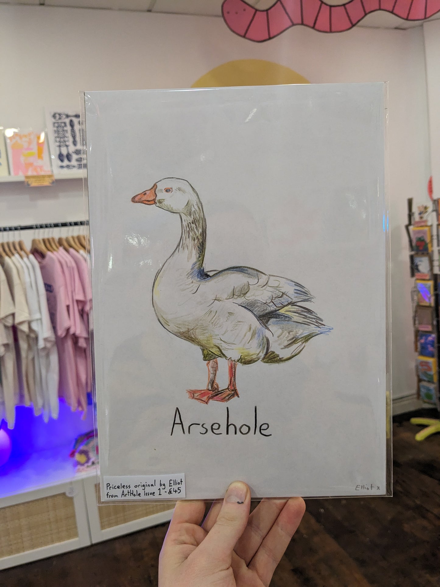 ArtHole Original Goose Drawings