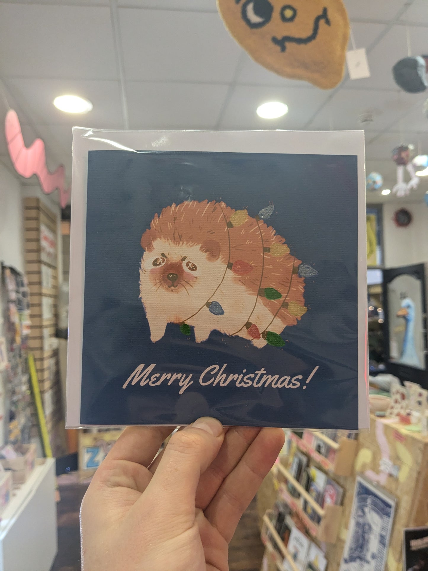 SunKissedFox- Christmas Cards!