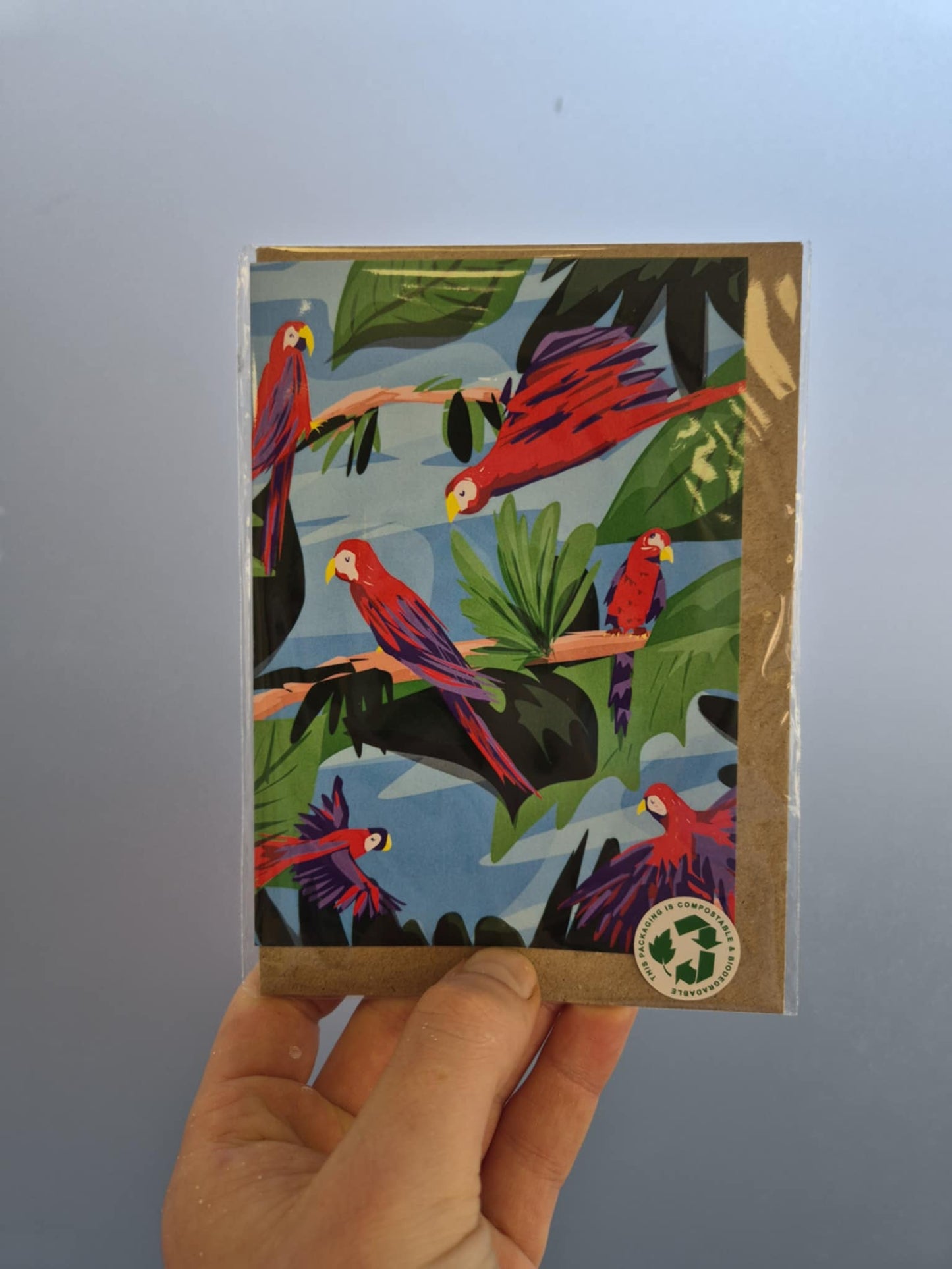 Naomi Ann - Greetings Cards