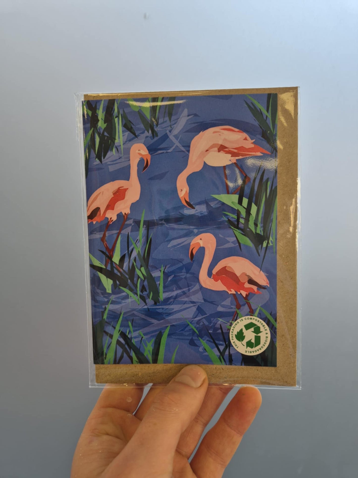 Naomi Ann - Greetings Cards