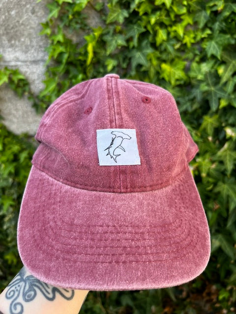Weird Wednesday - Caps and Beanies